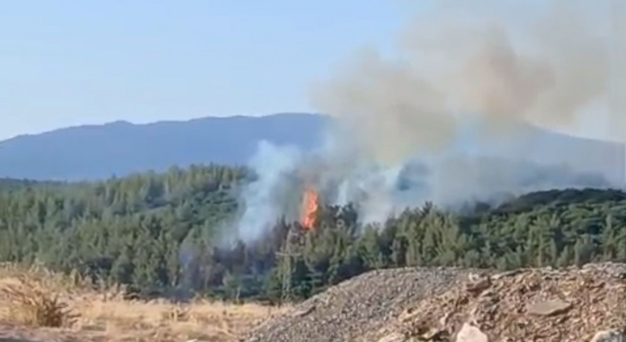 Tavastaki orman yangını kontrol altına alındı