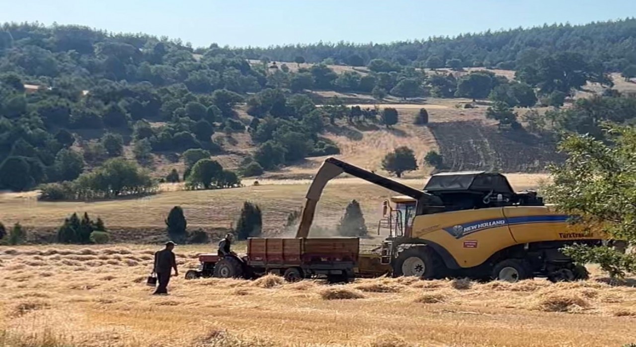 Tavşanlıda çiftçiler emeklerinin karşılığını almanın heyecanını yaşıyor