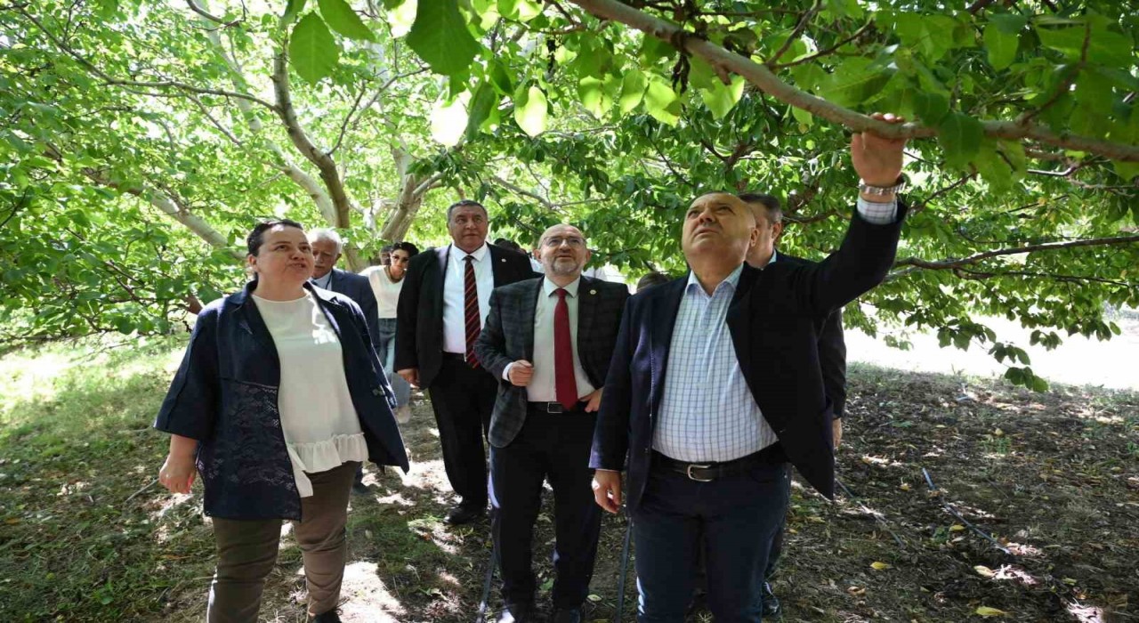TBMM Zirai Don Araştırma Komisyonu Çivrilde meyve bahçelerini inceledi