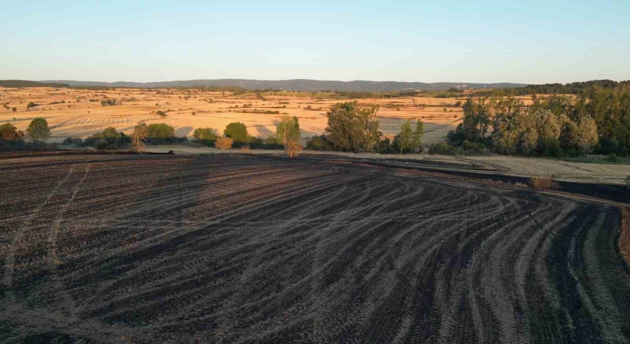 Tekirdağda 2 bin 500 dönüm ekili alan ve 200 adet arı kovanı yandı