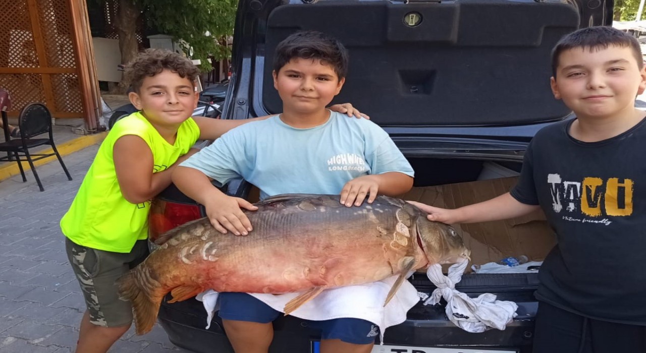 Tekirdağda amatör balıkçı 38 kiloluk sazan yakaladı