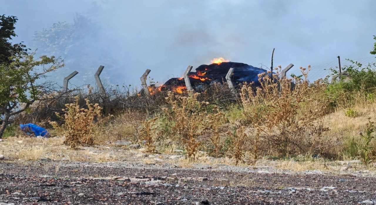 Tekirdağda anız yangını ormanlık alana sıçradı