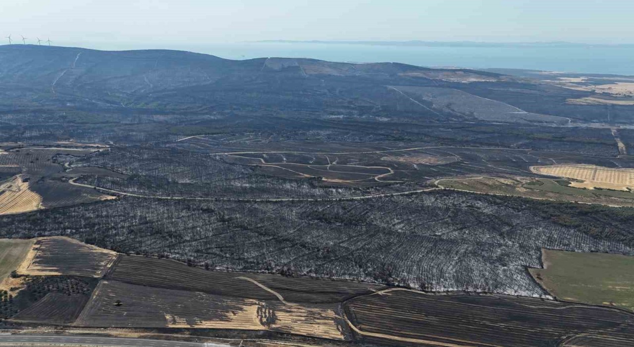 Tekirdağda başlayarak Çanakkaleye ulaşan orman yangınında yanan yerler dron ile görüntülendi