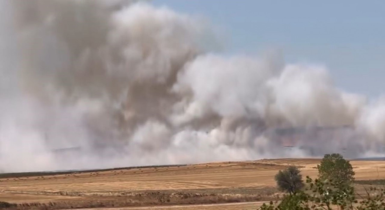Tekirdağda çıkan anız yangını kontrol altına alındı
