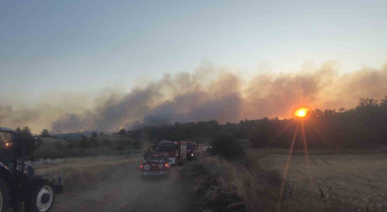 Tekirdağda eski kömür ocağı sahasında yangın