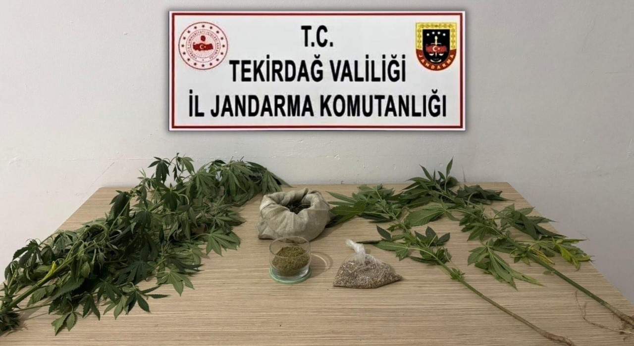 Tekirdağda jandarmadan 6 ayrı uyuşturucu operasyonu