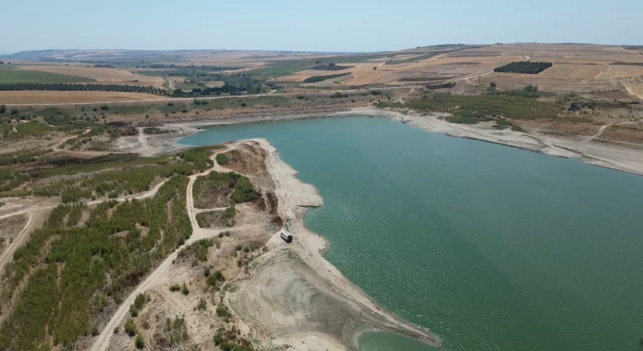 Tekirdağda kuruyan Türkmenli Göletinde ağaçlar ortaya çıktı