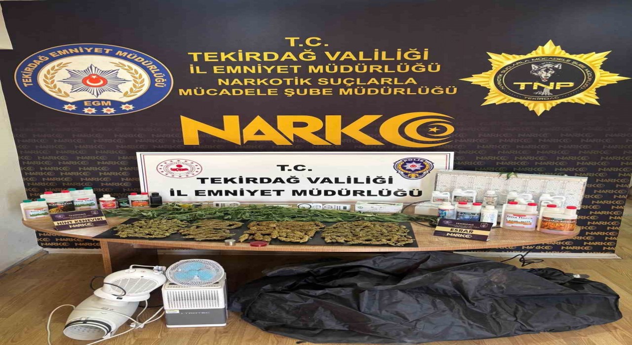 Tekirdağda uyuşturucu operasyonu: Esrar ve kenevir ele geçirildi