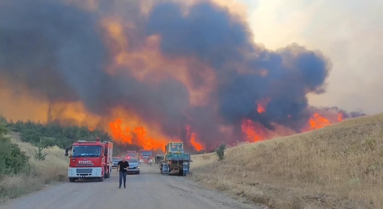 Tekirdağdaki orman yangını kontrol altına alındı