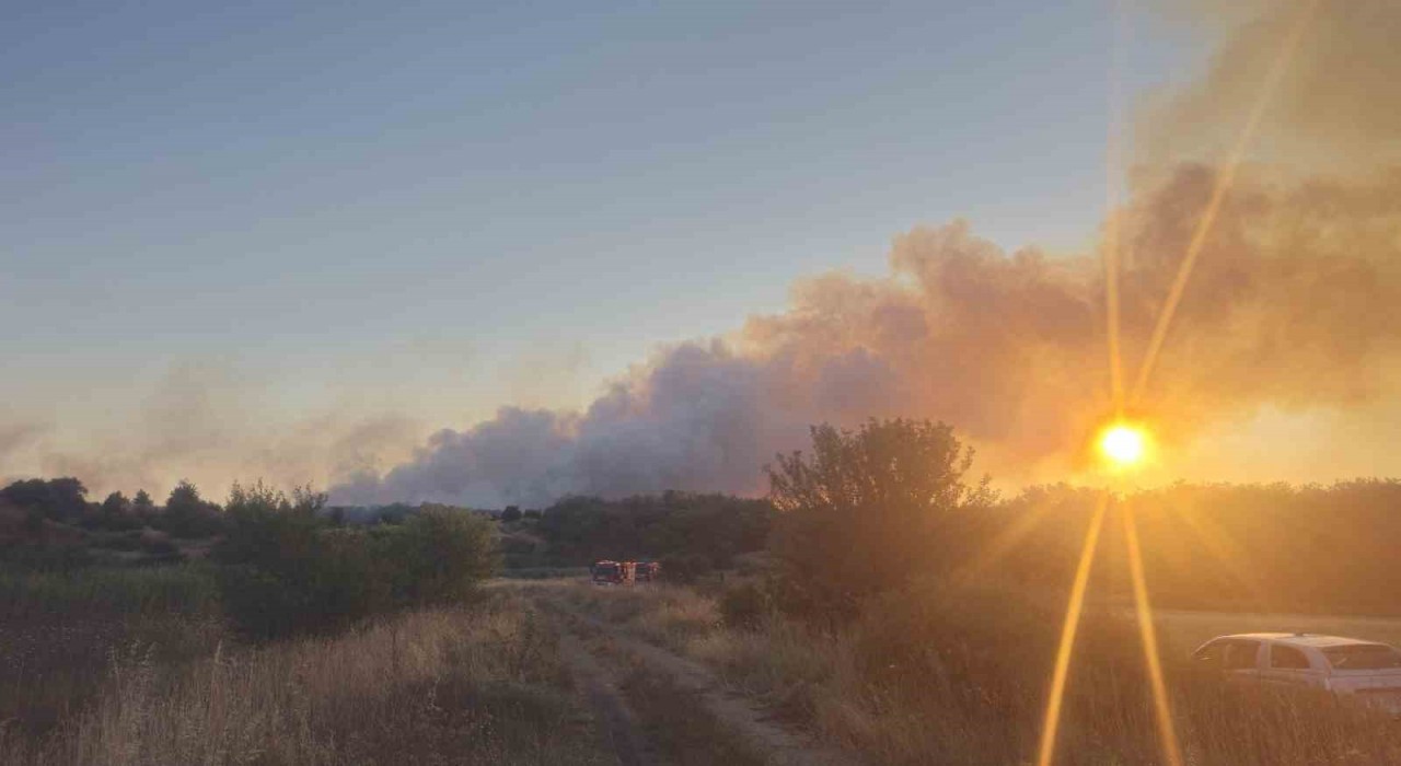 Tekirdağdaki yangın kontrol altına alındı