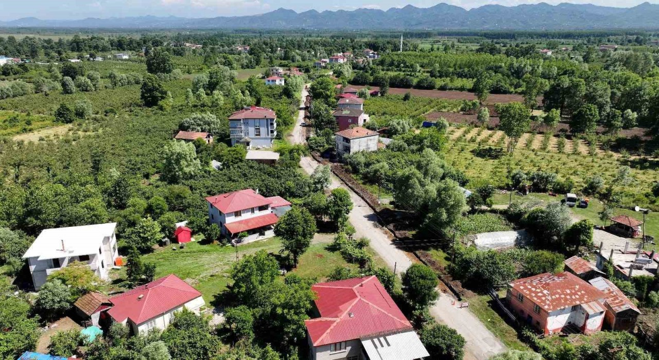 Termede doğalgaz ağı genişliyor