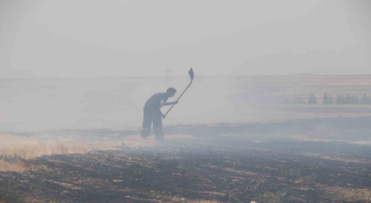 Trafodan çıkan yangında 50 dönüm tarım arazisi kül oldu
