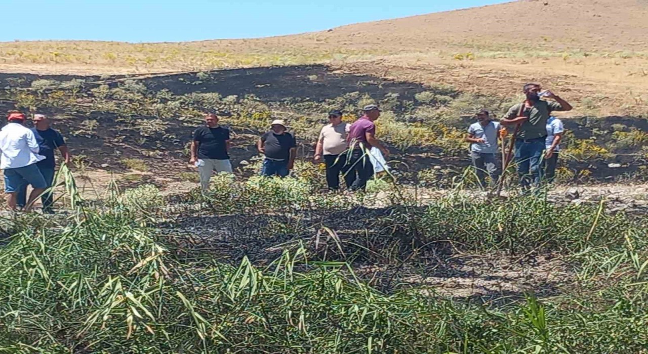 Tuncelide ekili alanda çıkan yangın, zamanında müdahaleyle söndürüldü