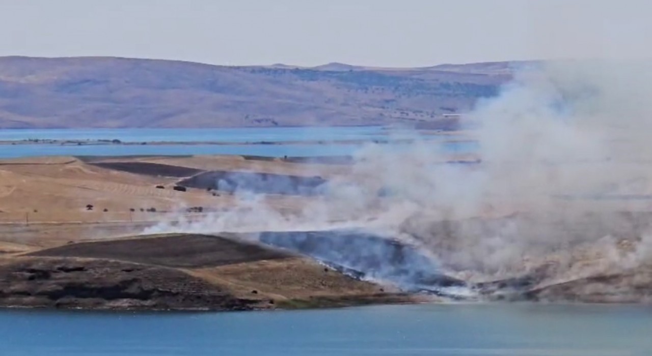 Tuncelideki yangın ekili alanlara sıçramadan söndürüldü