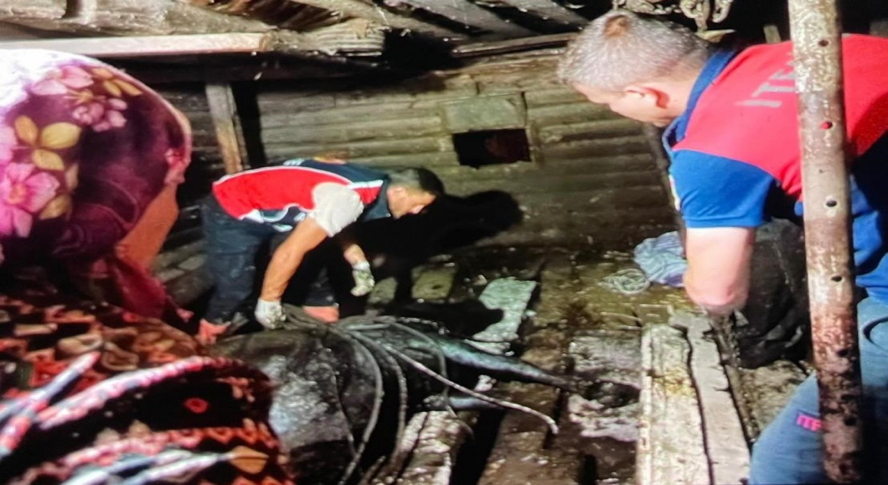 Türkelide ahır çöktü, büyükbaş hayvan kurtarıldı