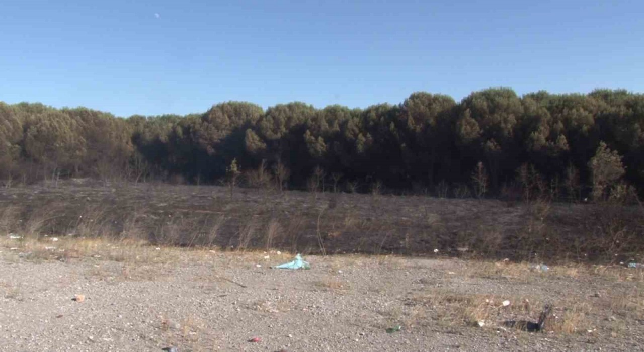 Tuzlada otluk alanda çıkan yangın ormana sıçramadan söndürüldü