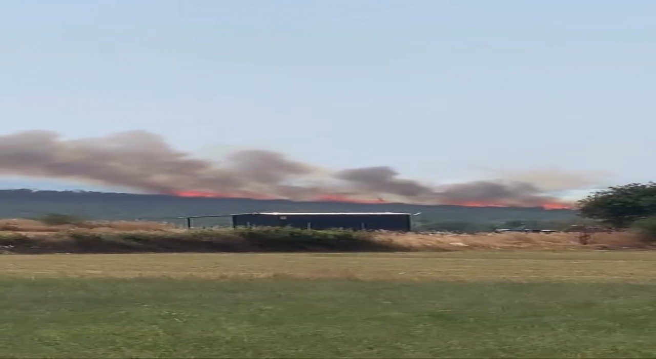 Uluabat Gölünden defalarca sorti yaptılar...Bursada iki ayrı noktada orman yangını