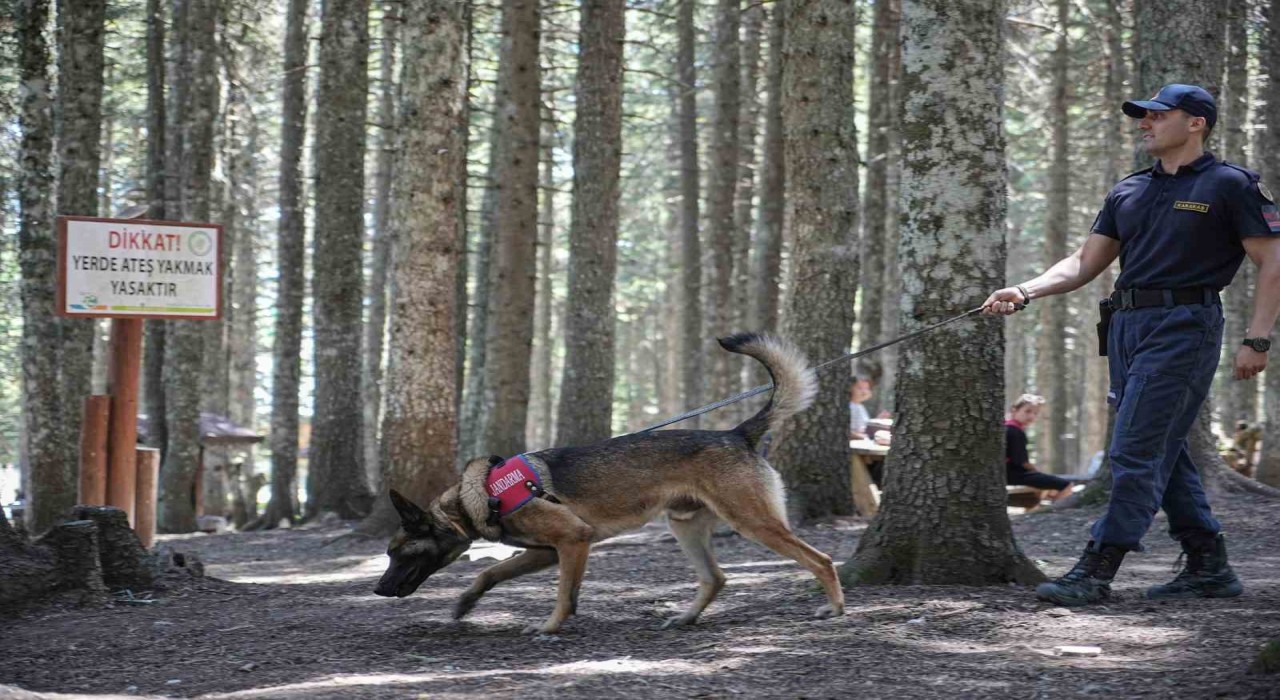Uludağın ormanlarında jandarmadan 24 saat motorize devriye