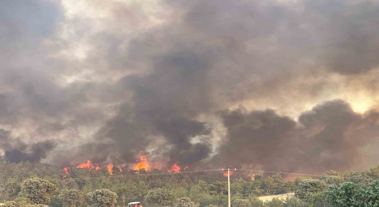 Uşakta devam eden orman yangınında hem tahliyeler hem de müdahale devam ediyor