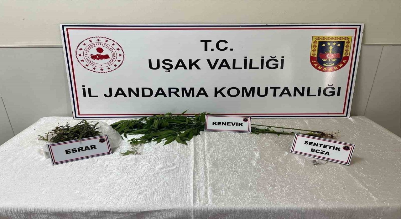 Uşakta jandarma ekiplerince uyuşturucu operasyonu