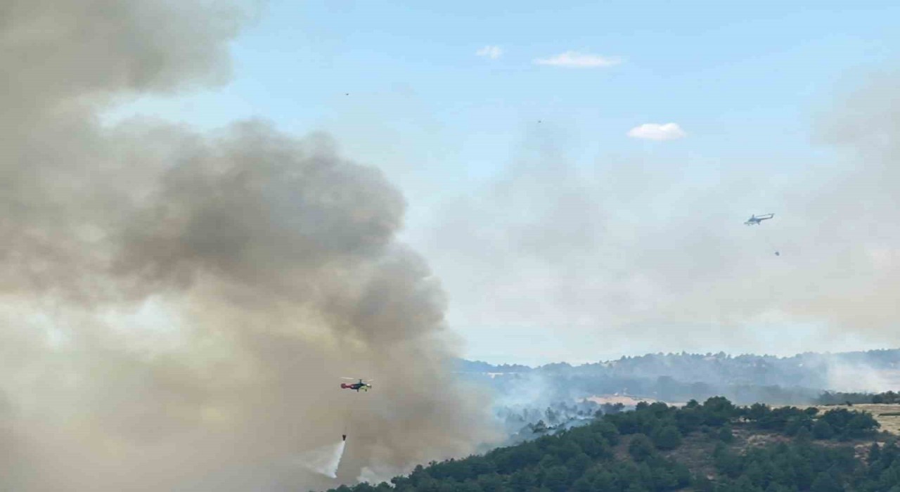 Uşakta ormanlık alanda çıkan yangına müdahale devam ediyor