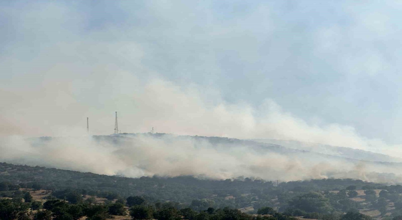 Uşakta tarım arazisinde başlayan yangın meşelik alana sıçradı
