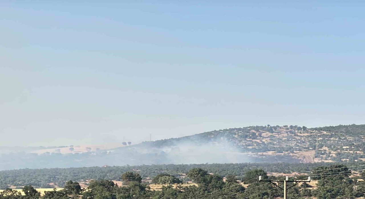 Uşaktaki meşelik alandaki yangına karadan müdahale devam ediyor