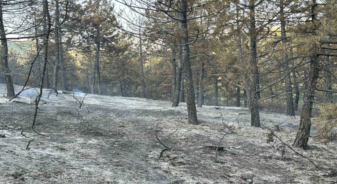 Uşaktaki orman yangını kısmen kontrol altına alındı