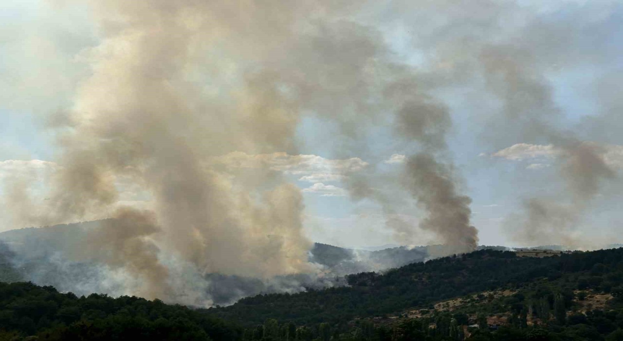 Uşaktaki orman yangınına havadan ve karadan müdahale devam ediyor