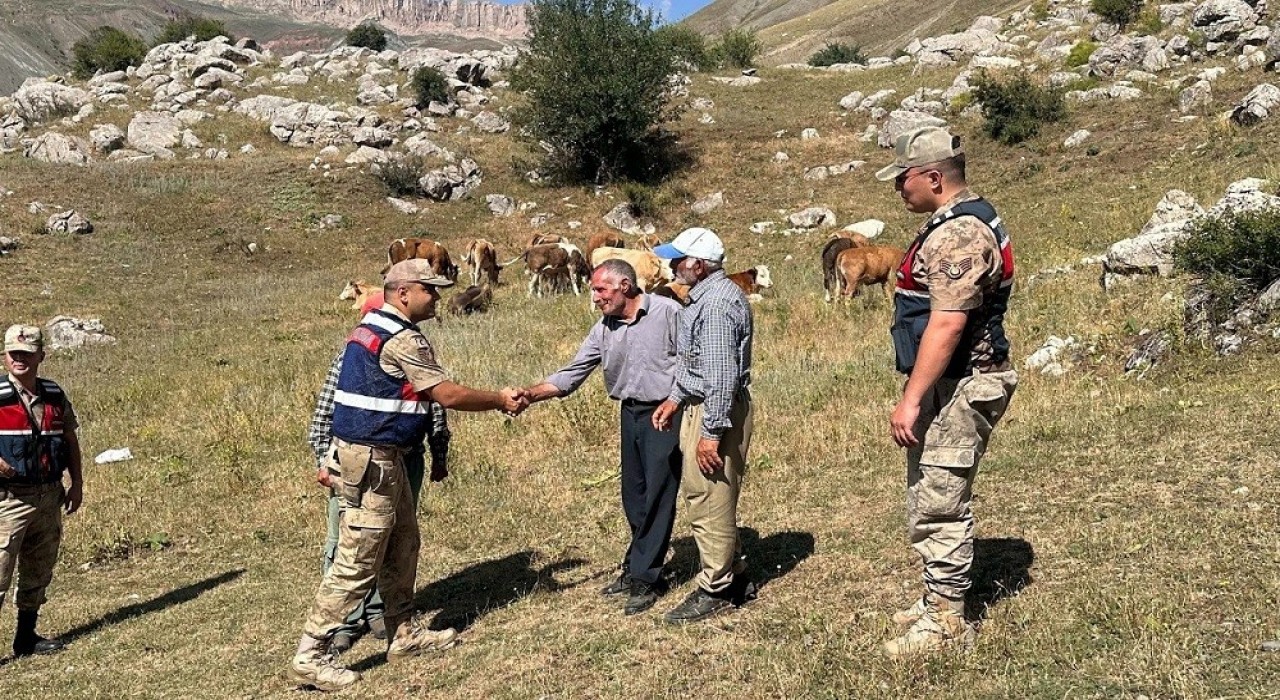 Üzümlüde 4 gündür kayıp 17 büyükbaş hayvanı jandarma buldu