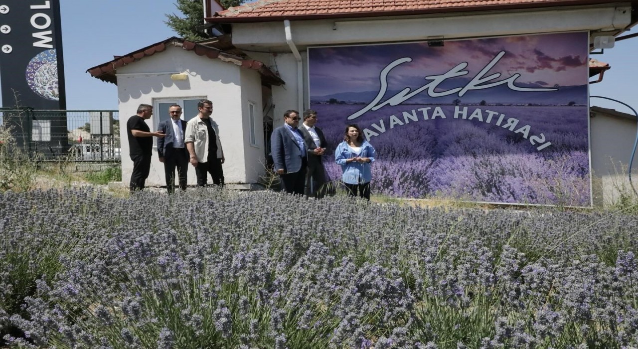 Vali Musa Işından Mutfak Sanatları Müzesi ve Lavanta Bahçesine ziyaret