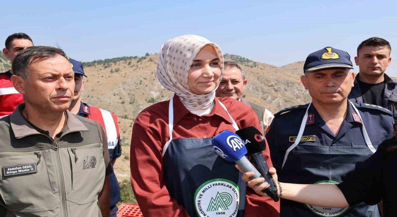 Vali Yiğitbaşı: Kenelere karşı keklik timi görevde