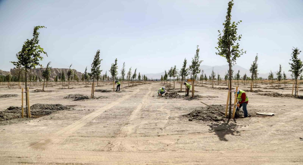 Van Büyükşehir Belediyesi Ihlamur Parkıyla kente renk katacak