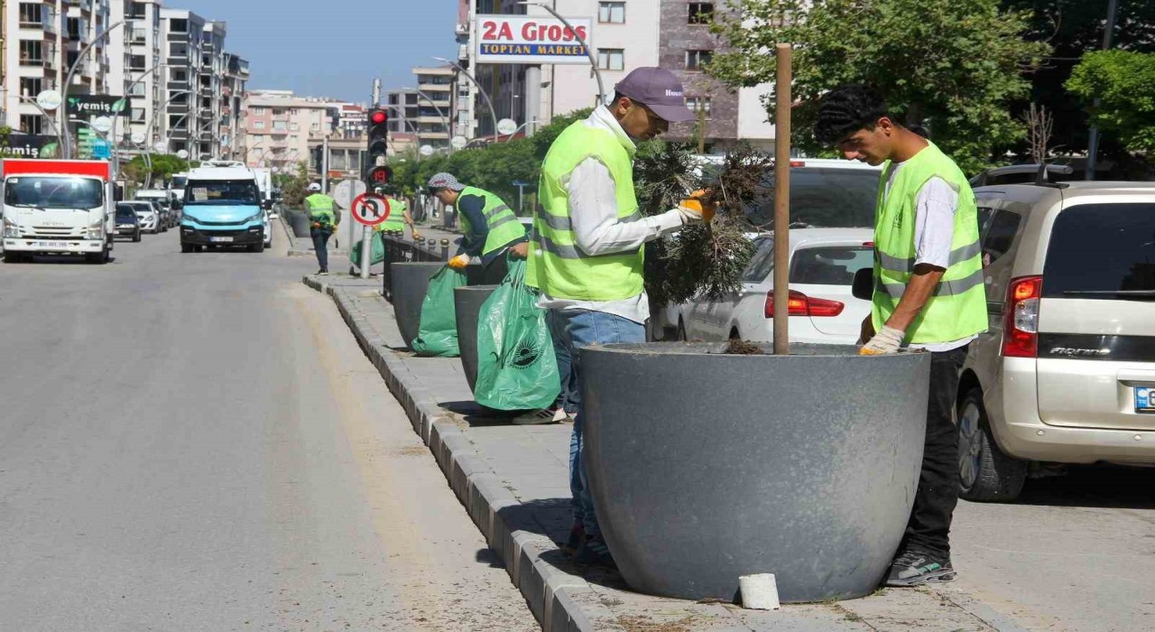 Van Büyükşehir Belediyesinden yeşil alanlarda yoğun mesai