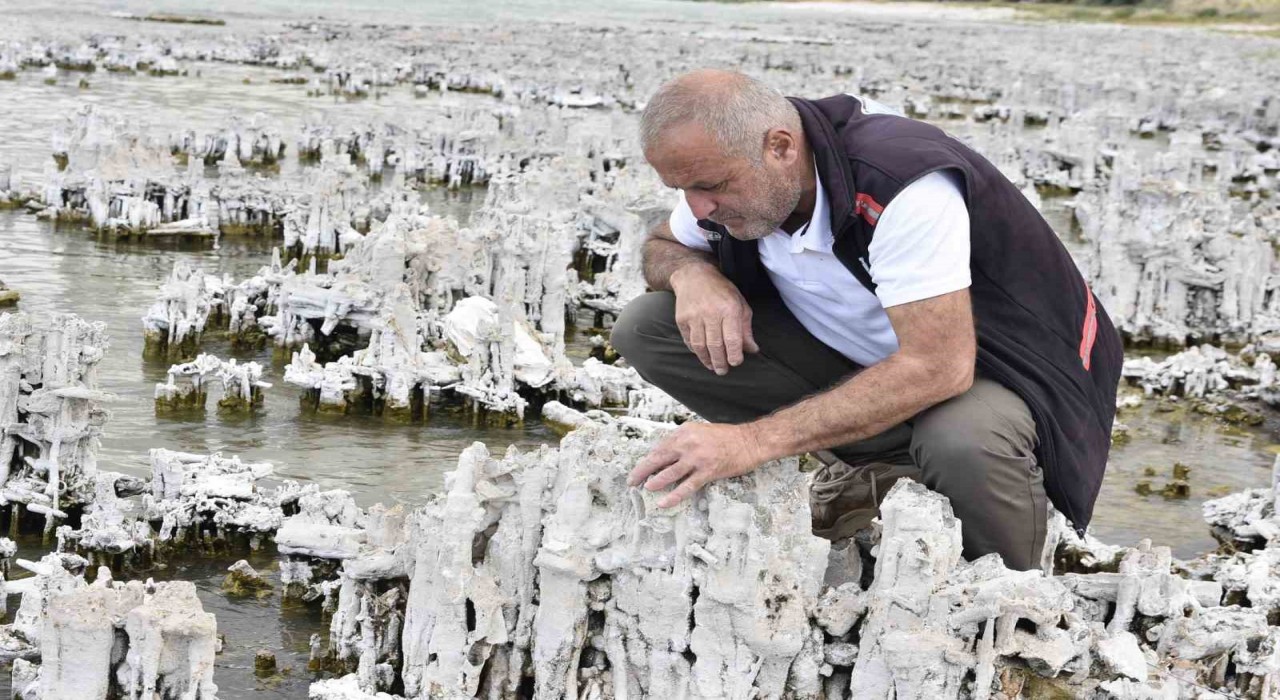 Van Gölünde şu ana kadarki en büyük mikrobiyalit görüntülendi