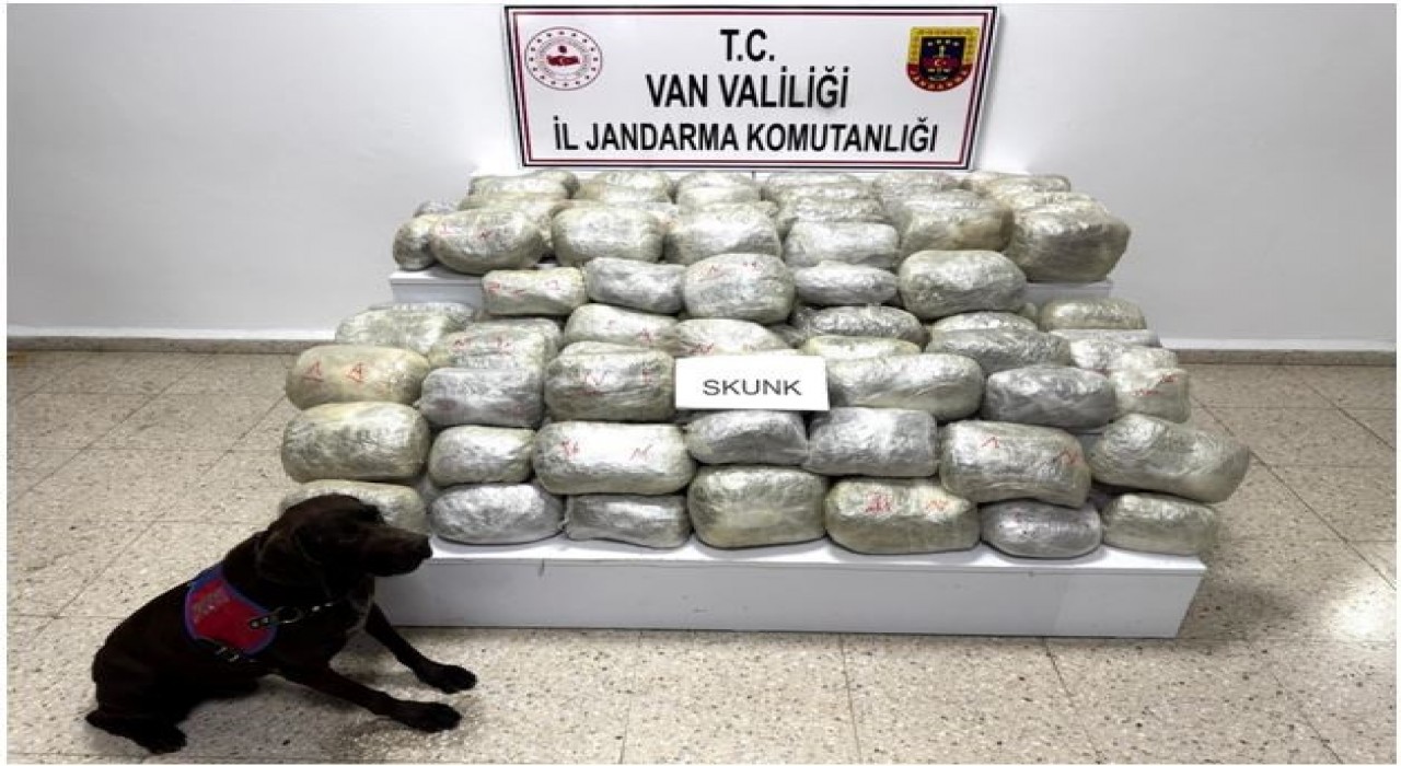 Vanda 70 kilo skunk madde ele geçirildi