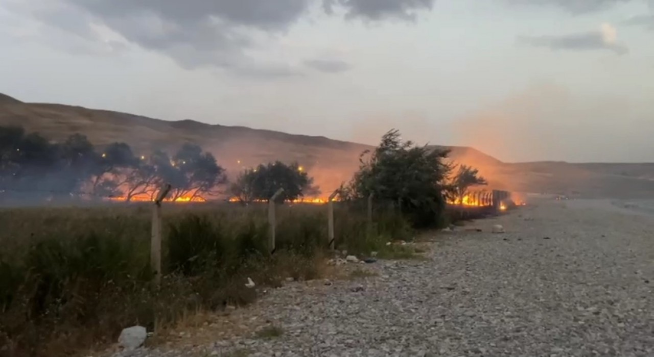 Vanda ağaçlık alanda yangın