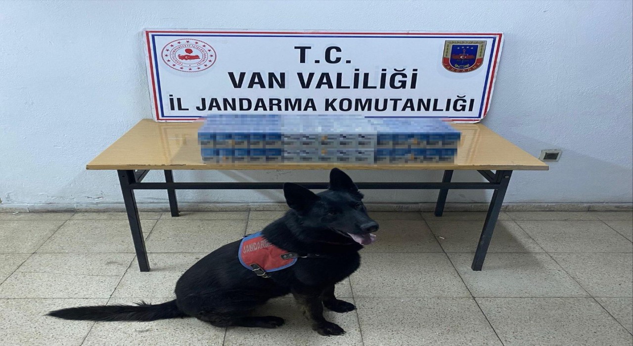 Vanda kaçak sigara ve elektronik malzeme ele geçirildi