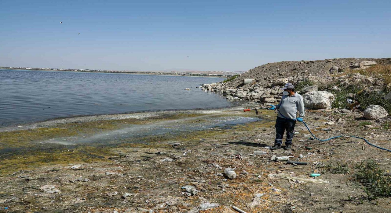 Vanda kent zararlılarına karşı ilaçlama çalışması
