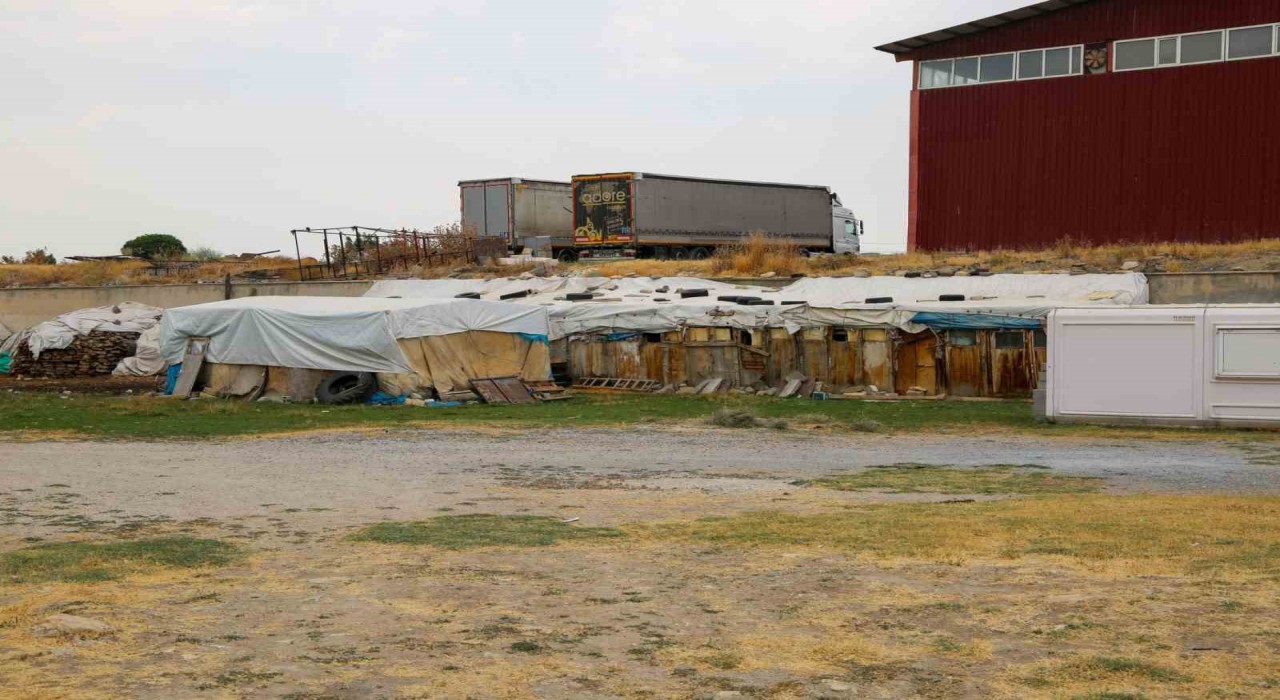 Vanda mahalle aralarında bulunan ahırlar için son uyarı