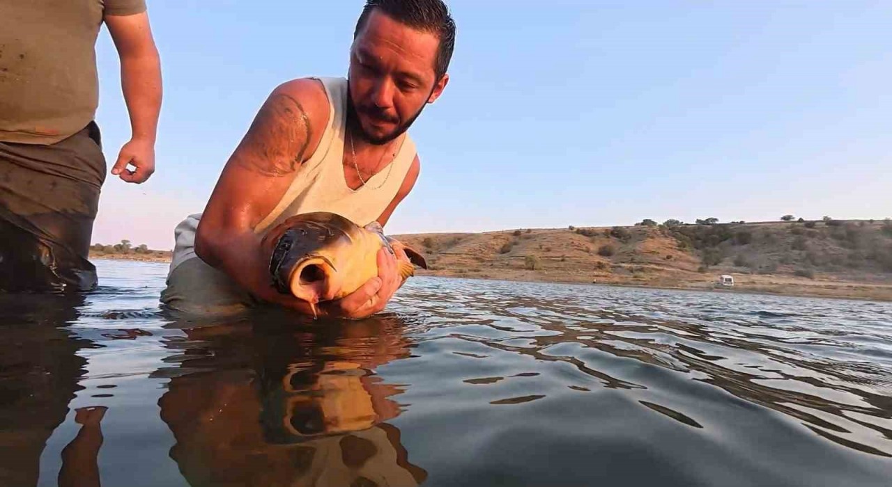 Yakaladıkları balıkları gelecek nesiller için serbest bırakıyorlar