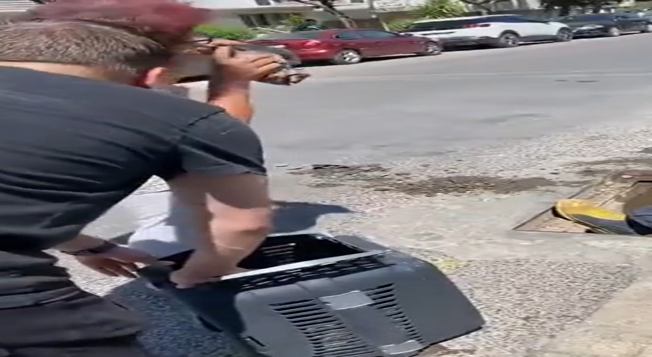 Yalovada anne kedi ve dört yavrusu sıkıştıkları yağmur suyu kanalından kurtarıldı