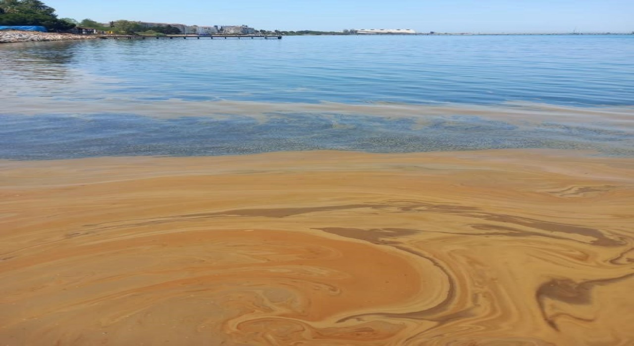 Yalovada deniz kirliliğine sebep olan fabrikaya inceleme