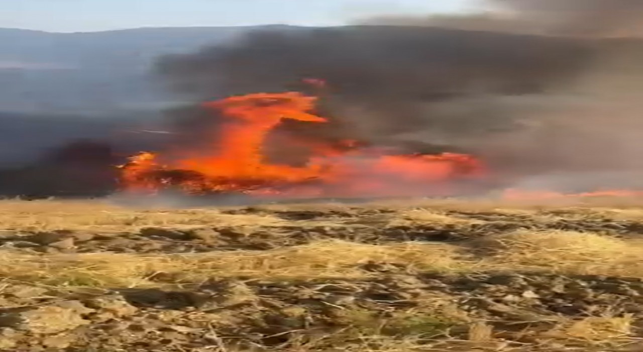 Yalovada tarlada çıkan yangında yüzlerce saman balyası kül oldu