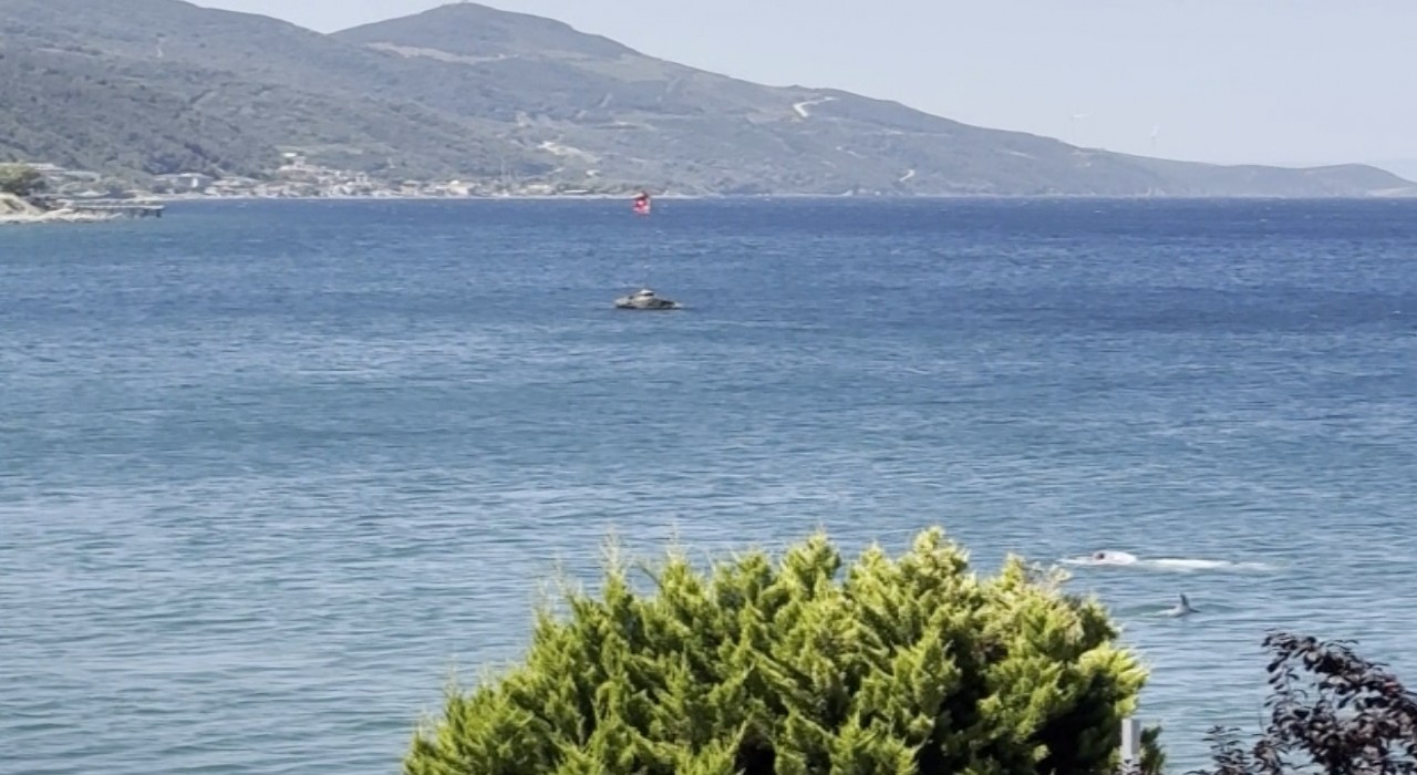 Yalovada yunusun yüzen vatandaşla burun buruna geldiği anlar kamerada