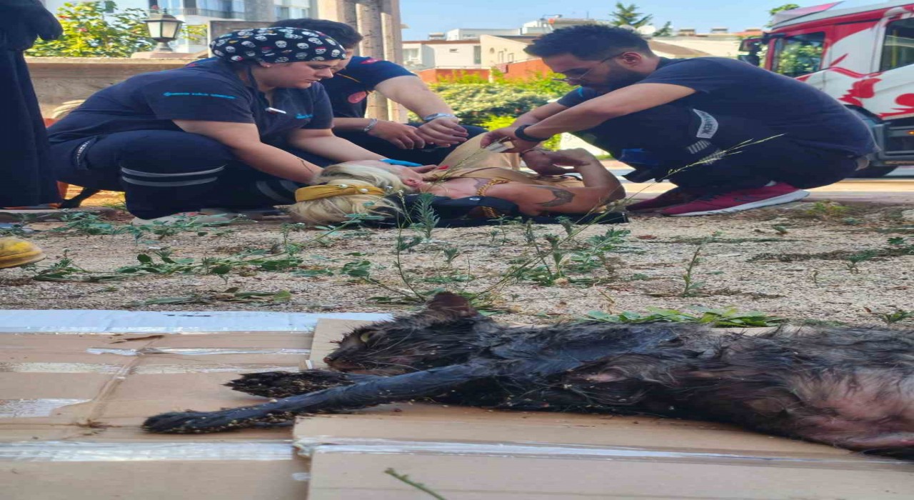 Yanan evini gören kadın baygınlık geçirdi, kedisi oksijen maskesiyle kurtarıldı