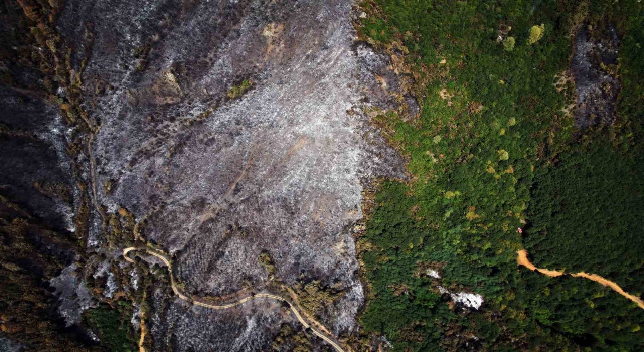 Yangın sonrası acı tablo: Yeşil ve siyah yan yana