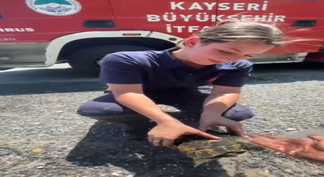 Yangında mahsur kalan kaplumbağaya itfaiyeden yardım eli