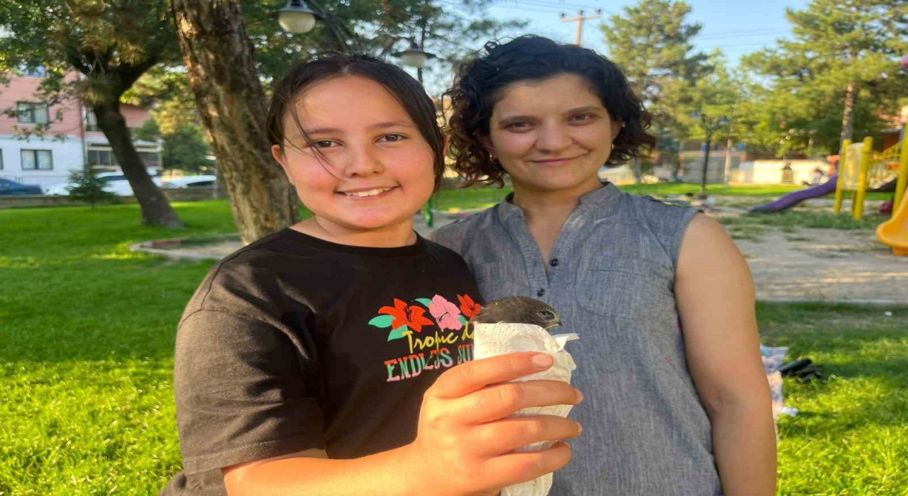 Yaralı Ebabil kuşu Tavşanlıda şefkatli ellerde