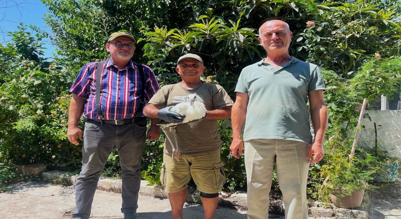 Yavru leyleği kurtarıp, deniz kaplumbağası yumurtalarını koruma altına aldılar